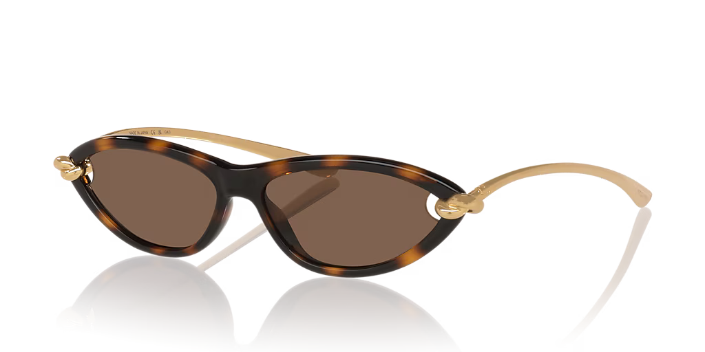 Bottega Veneta BV1390S 002 Sunglasses