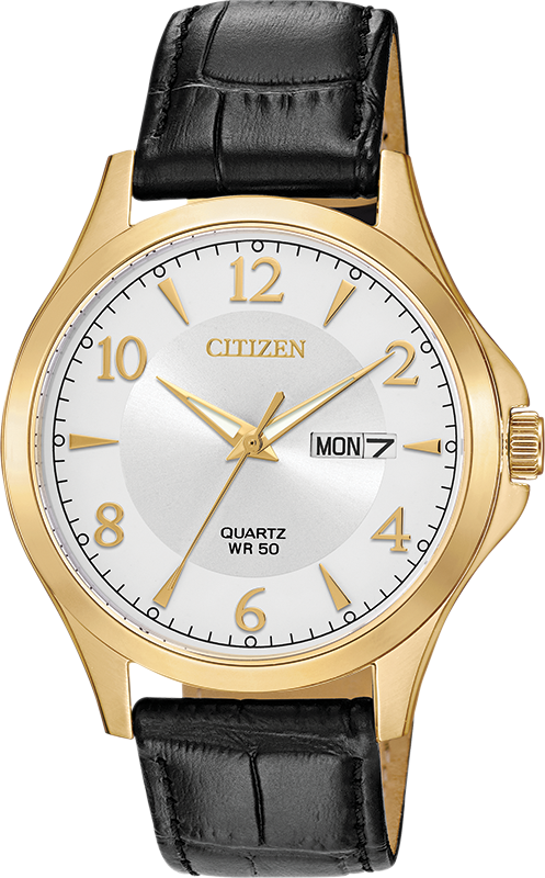 Citizen Men's Quartz Classic Day/Date Watch BF2003-25A