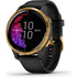 Garmin Venu Black with Gold