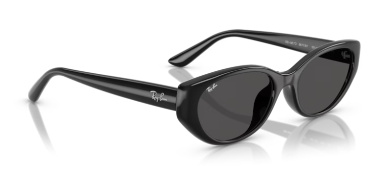 Ray-Ban 0RB4457D 667787 55 Sunglasses