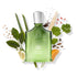 Creed Original Vetiver