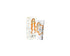 Elizavecca Cer-100 Ion Injection 50ml: Elevate Your Beauty - YesMegastore