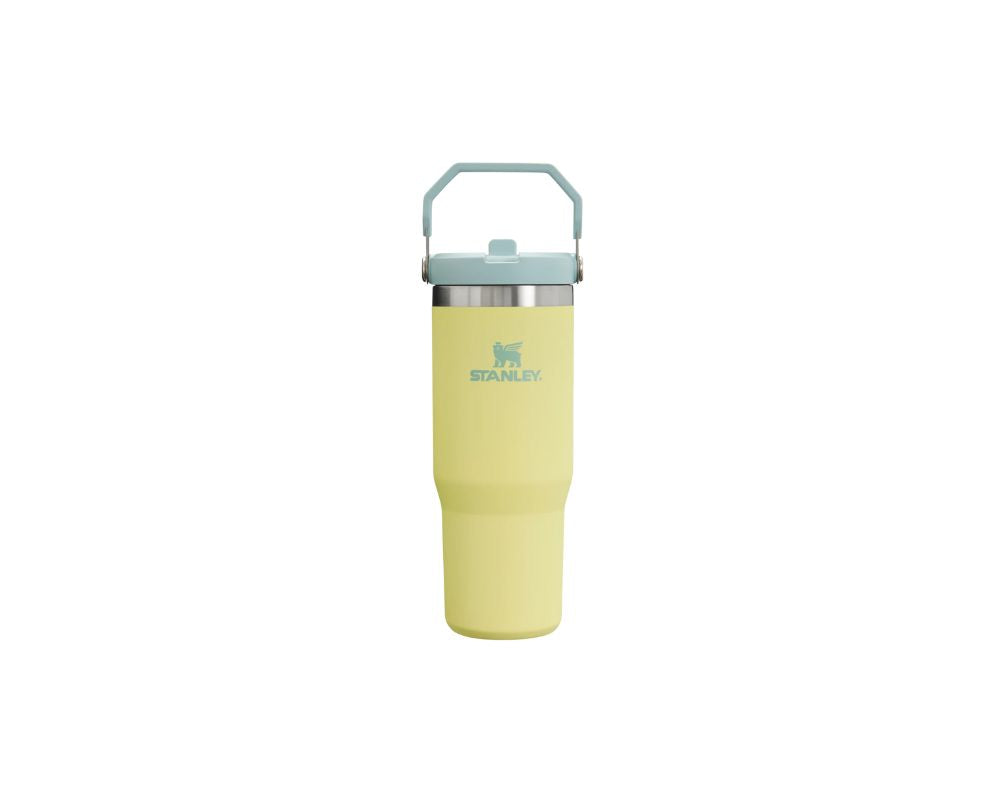 Stanley Flip Straw Tumbler 30 oz - YesMegastore
