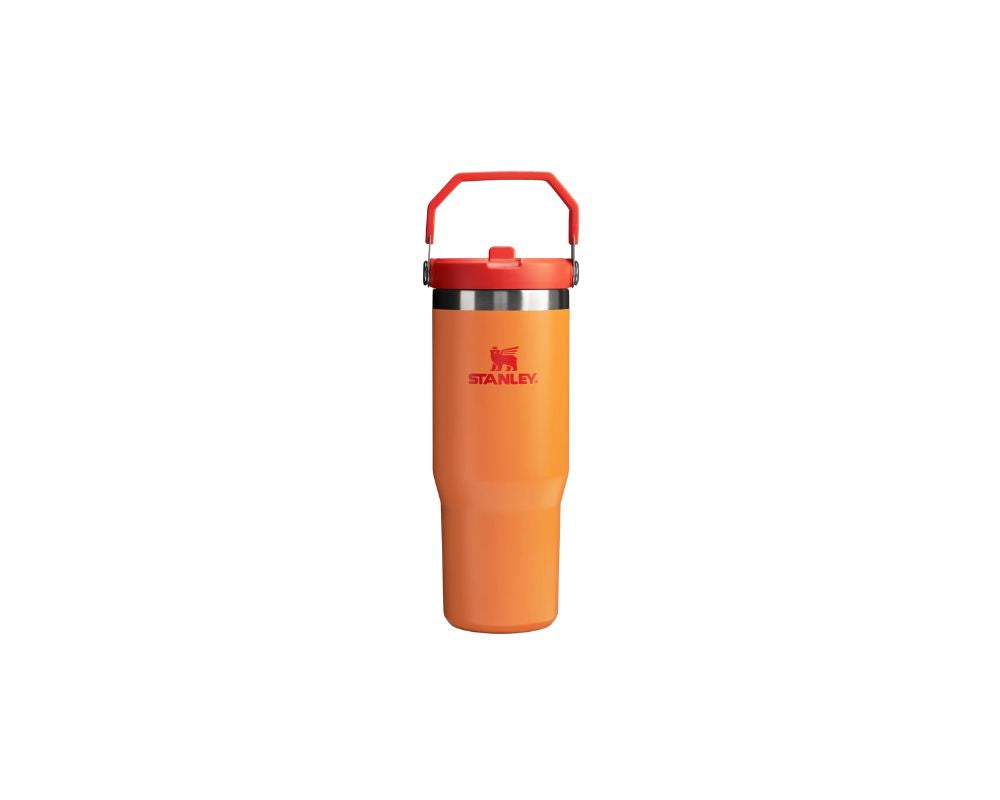 Stanley Flip Straw Tumbler 30 oz - YesMegastore