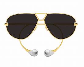 Bottega Veneta BV1437S 001 64