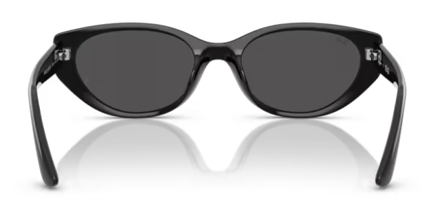 Ray-Ban 0RB4457D 667787 55 Sunglasses