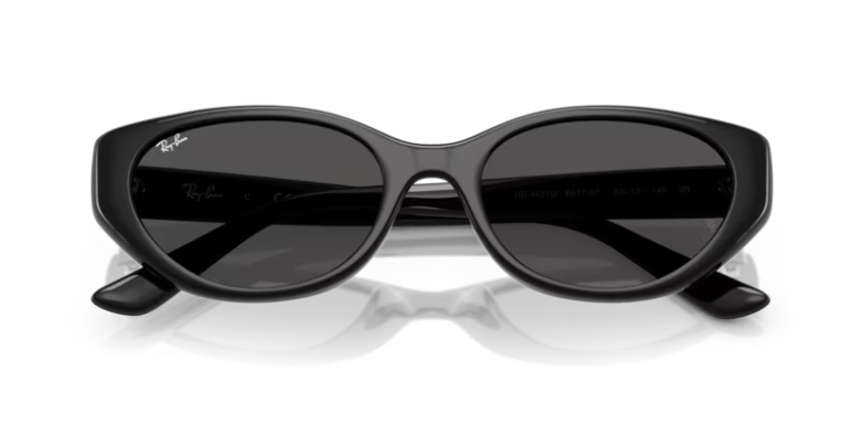 Ray-Ban 0RB4457D 667787 55 Sunglasses