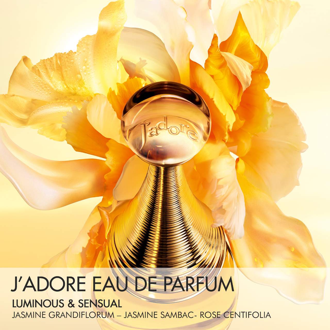 J'adore Eau de Parfum for Ladies by Dior - YesMegastore